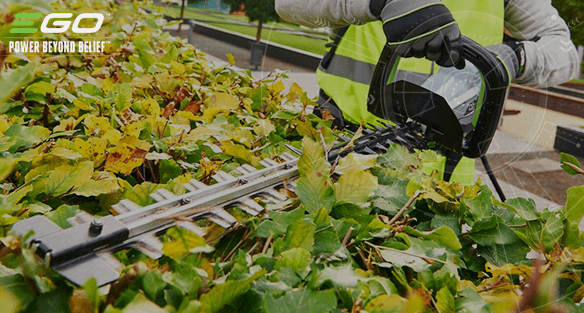 how-to-trim-a-hedge-straight-ego-power